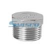 ASTM CF8M 304 Ajuste de fundición roscada NPT para sistemas de suministro de agua residencial